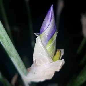 Meet your Posher, Becky